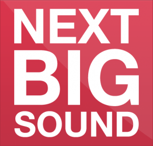 NextBigSound_Logo_Color